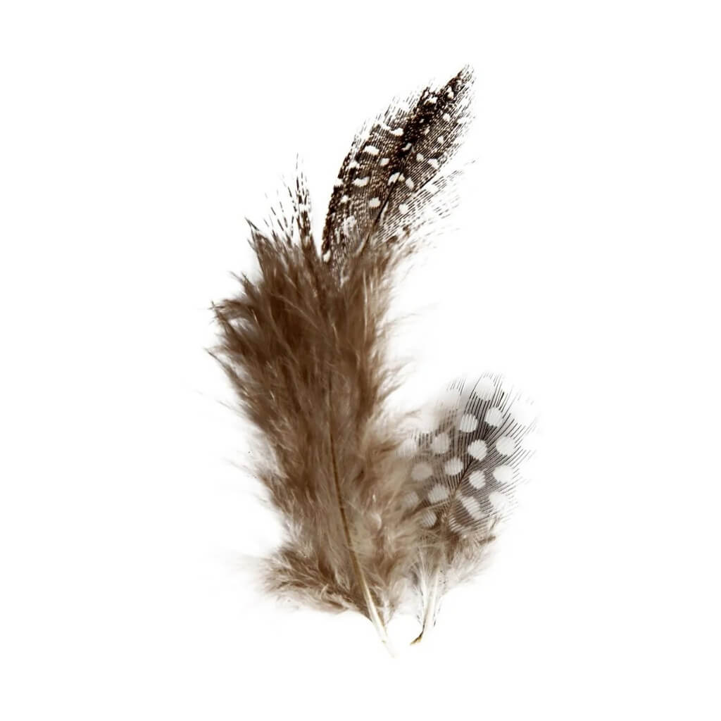1 Pck. Perlhuhnfedern 3 g braun - Image 2