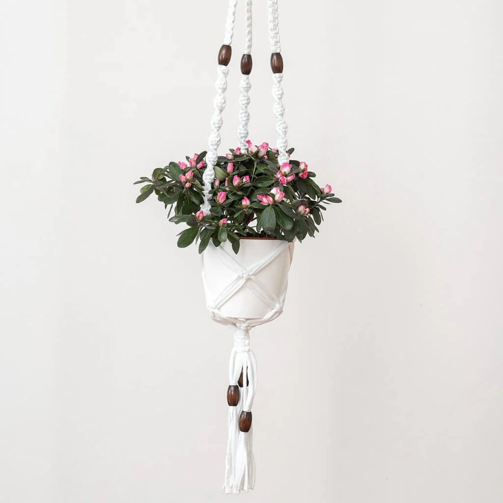 Blumenampel in weiß Makramee Set - Hoooked - Image 3