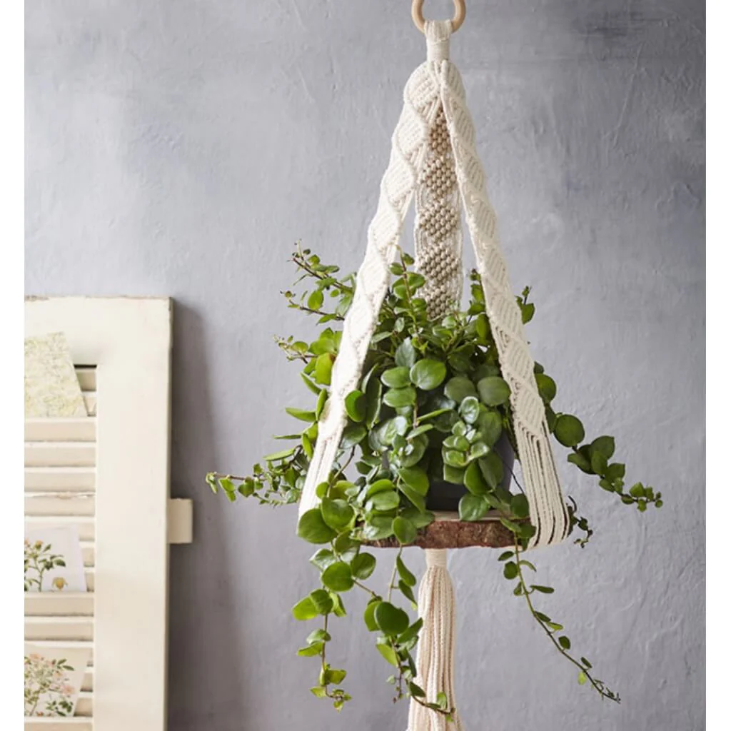 TOPP Makramee Blumenampeln - Josephine Kirsch - Image 10