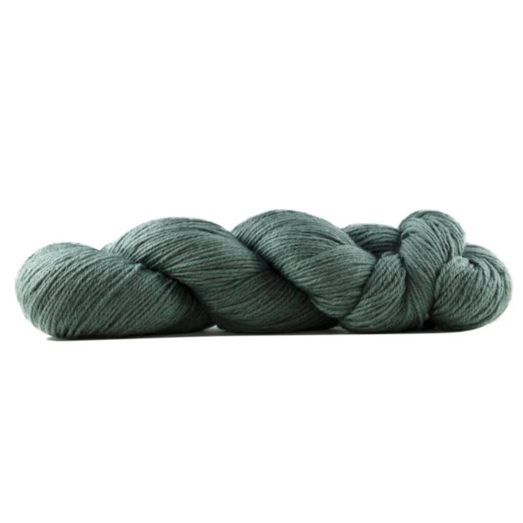 Rosy Green Wool Cheeky Merino Joy 100g - Image 8
