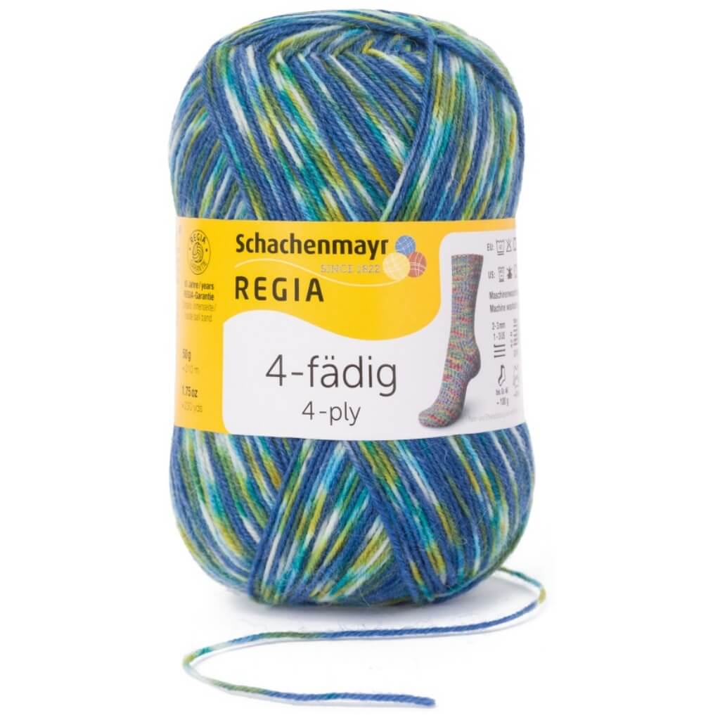 Schachenmayr Regia 4-Fädig Color 100g - Image 15