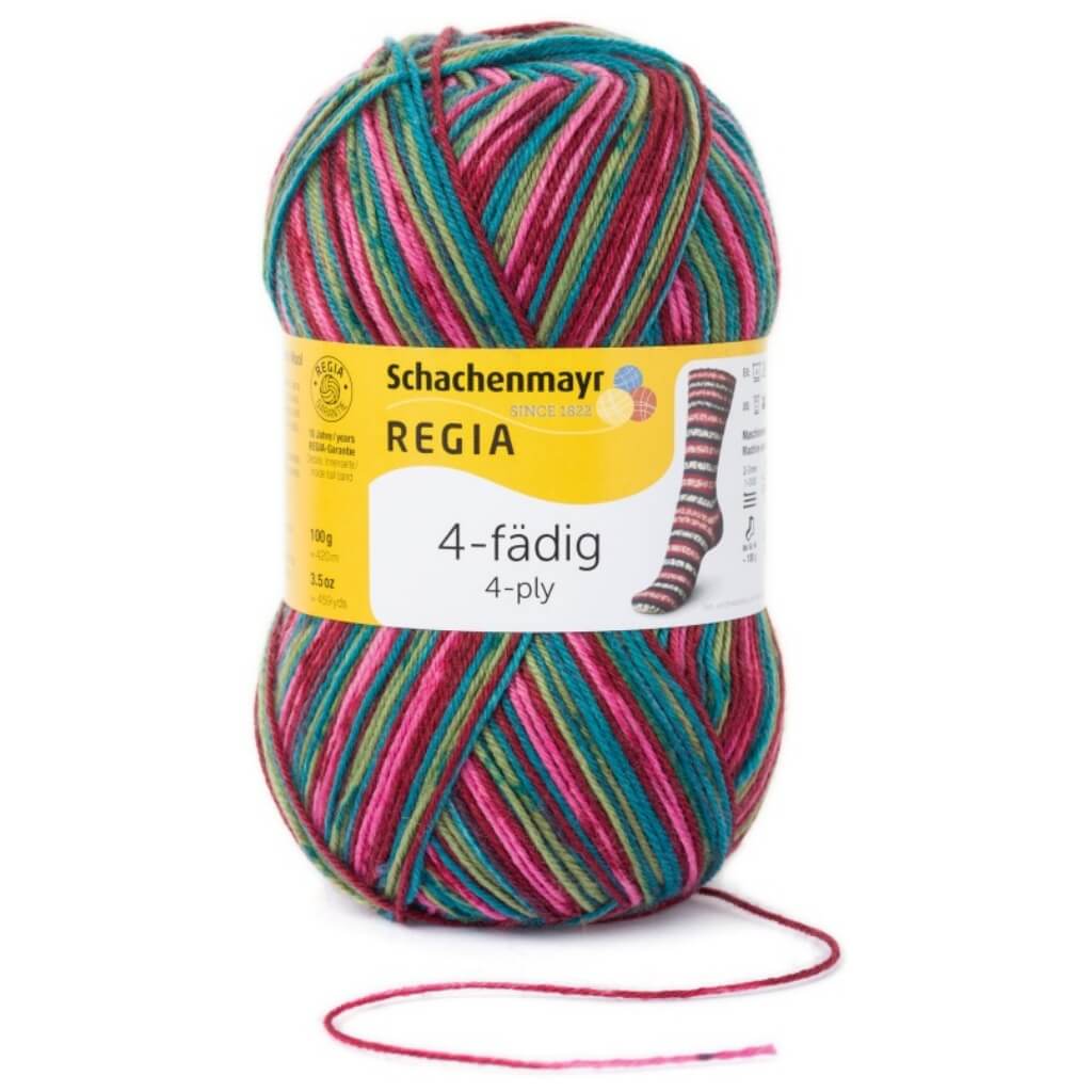 Schachenmayr Regia 4-Fädig Color 100g - Image 8