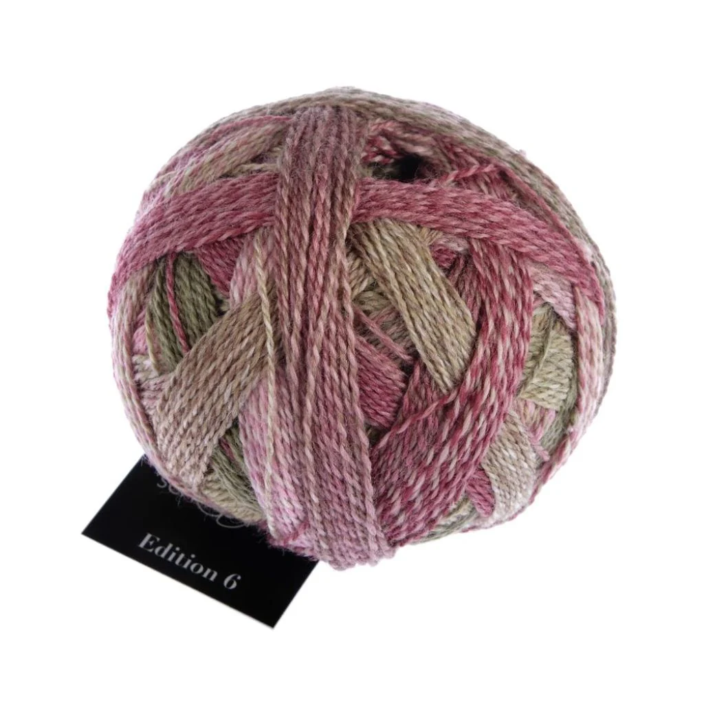 Schoppel Wolle Edition 6 - Image 9